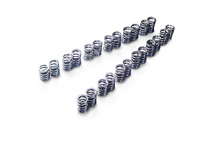 Комплект пружин клапана Tomei VALVE SPRING SET RB25DE(T) R33 TYPE-A
