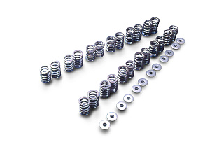 Комплект пружин клапана Tomei VALVE SPRING SET RB25DE(T) R33 TYPE-B