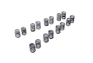 Комплект пружин клапана Tomei VALVE SPRING SET SR20DE(T)