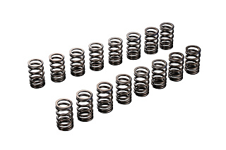 Комплект пружин клапана Tomei VALVE SPRING SET EJ205/EJ207/EJ255/EJ257