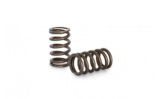Комплект пружин клапана Kelford Nissan R34 RB25DET NEO "Drop In" Valve Springs to suit OEM Retainer and Base
