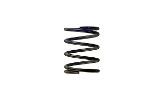 Пружина перепускного клапана Gen4 IWG WG38/40/45/50L 7PSI MIDDLE SPRING - BROWN/PURPLE
